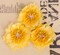 Prima Marketing Inc 3Pc Silk Yellow Flower- Lady Bird 655350564599